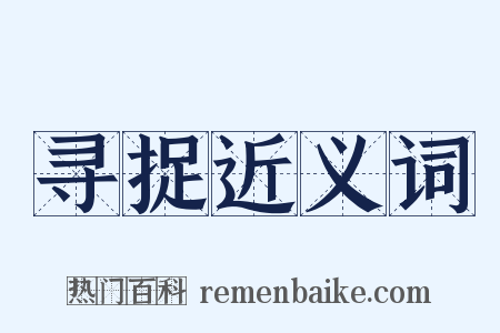 寻捉近义词是什么意思的图片